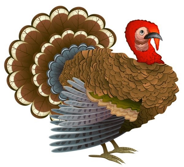 Combining Turkey Clipart with Other Design Elements