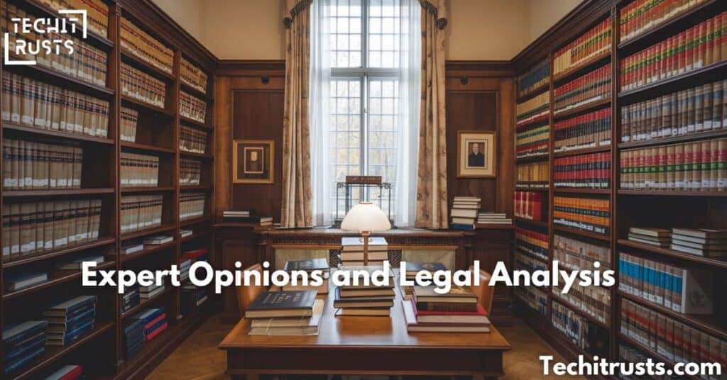 Expert Opinions and Legal Analysis