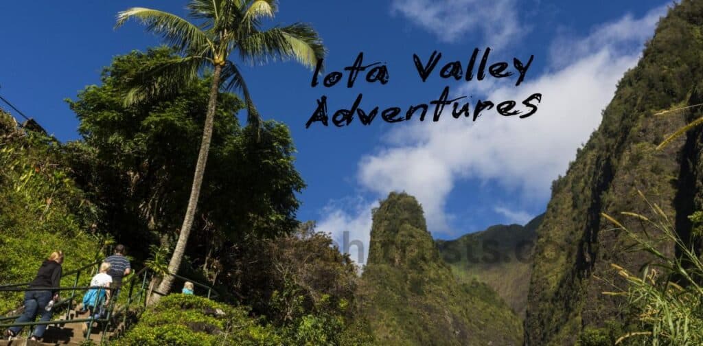 Iota Valley Adventures: Discover the Untamed Beauty